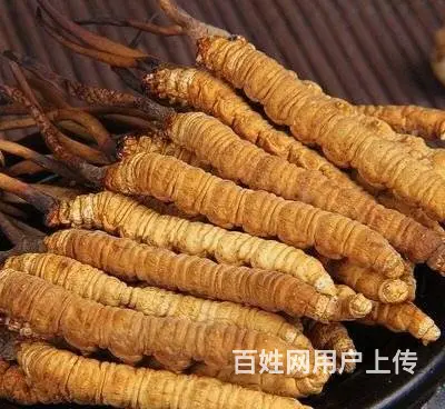 本地回收礼品老酒洋酒名酒冬虫夏草阿胶 - 图片 6