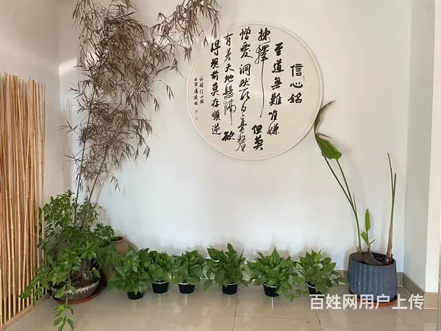 共享办公室招租 - 图片 1