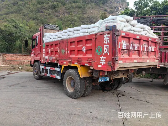 东风 天锦 自卸车 国3 - 图片 4