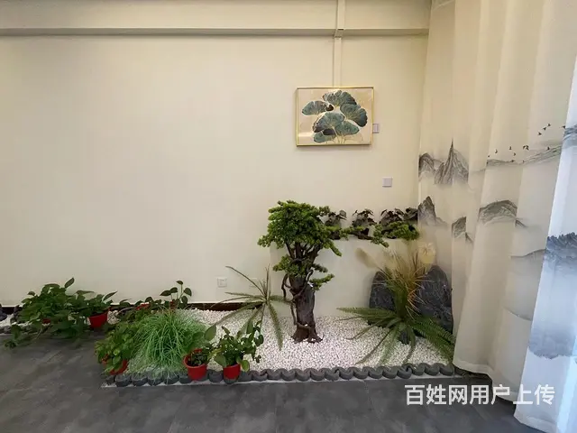 张店区南西五路营业中养生馆转让 - 图片 6