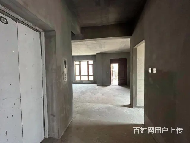 翠湖边户别墅 中间位 超大花园 双车库 室内电梯 没税 - 图片 6