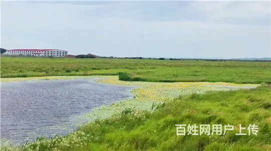 呼伦贝尔陈巴尔虎旗呼伦贝尔包车师傅呼伦贝尔包车来回多少钱 - 图片 2