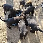 没时间管理