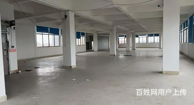 D9 I59 O5O9 6588罗山街道后林延林东路厂房 - 图片 5