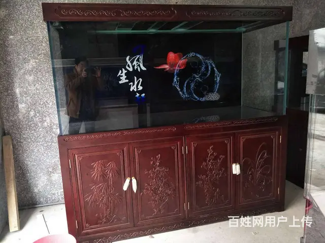 维护鱼缸养护，修鱼缸养护要多少钱，卖鱼缸定做 - 图片 4