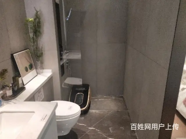 海湖新区公寓出售，39～59平，支持贷款 - 图片 4