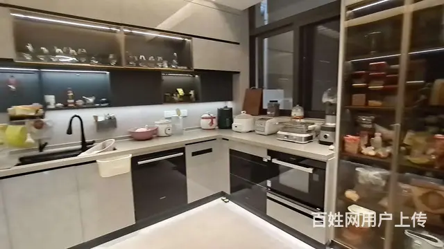 唐家湾 翠湖香山 独栋别墅 精装修 有天有地 享受生活 - 图片 11
