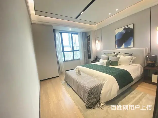 城南神盘 花园洋房 旁边 花半里 送车位家电 明年交付 - 图片 3