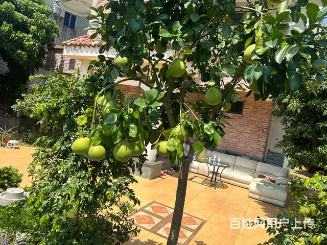 海景大宅 - 图片 6