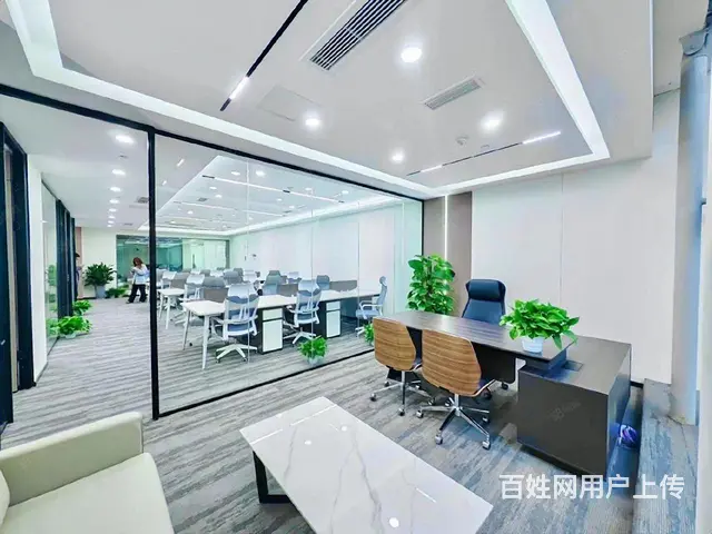 专租正大国际！55平！65平！88平！98平！100多平 - 图片 3