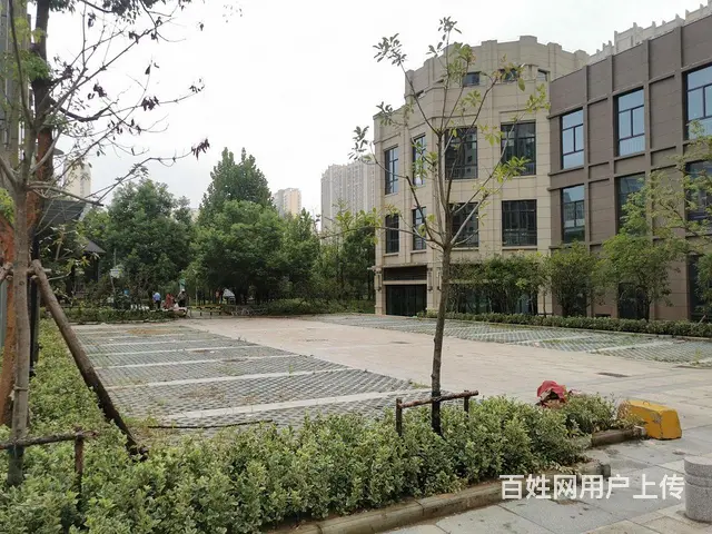 99广场旁城南整栋商业，凯迪塞纳河畔两千多平赠送多市口好 - 图片 11