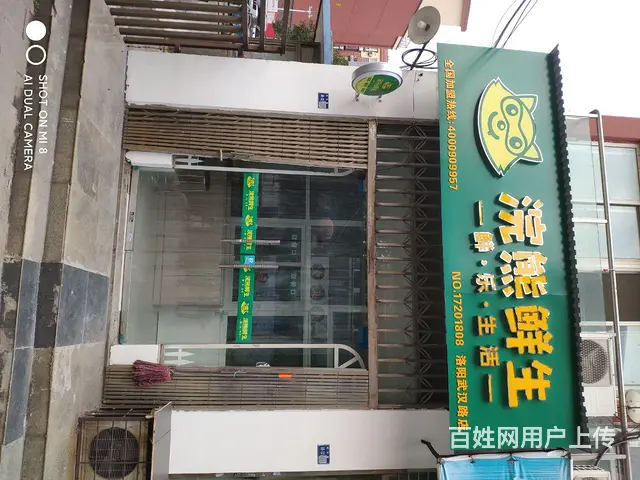 涧西区武汉路甜果盯水果经营店 - 图片 1