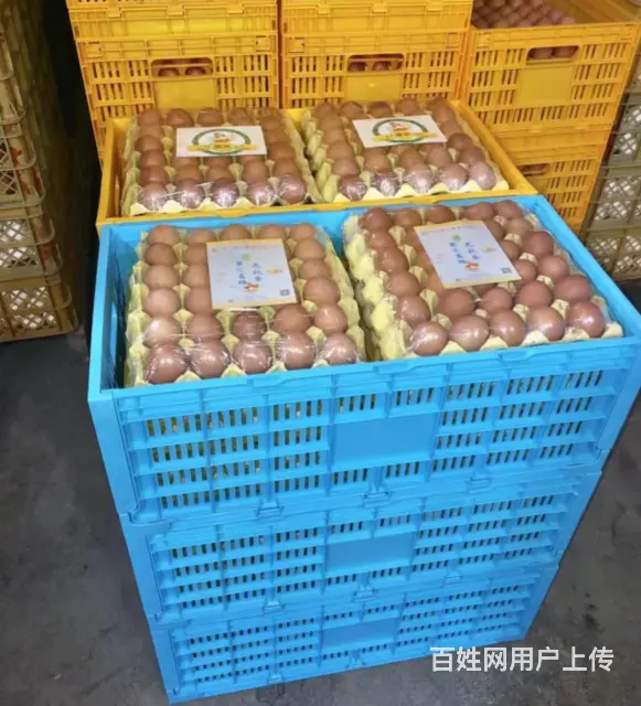 塑料零件盒果蔬塑料筐鸡蛋周转筐斜插塑料箱物流箱EU - 图片 9