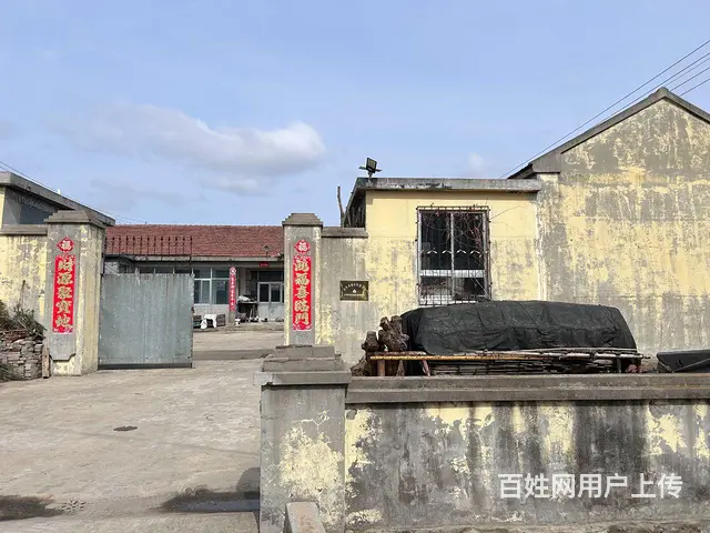 （新房源）初村独门独院一楼厂房出租 - 图片 1
