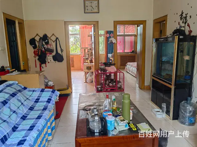 车站南路 - 图片