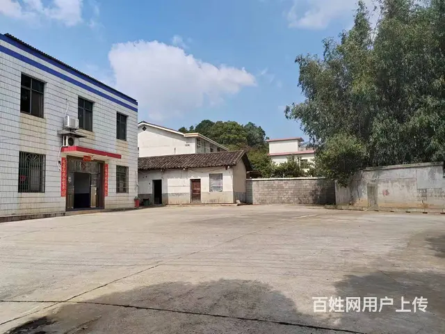 （老板本人）开福区捞刀河中青路南方驾校附近场地出租 6206 - 图片 5