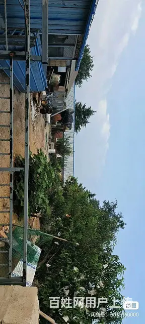 转让承包地，租赁也可以，温泉镇 - 图片 6