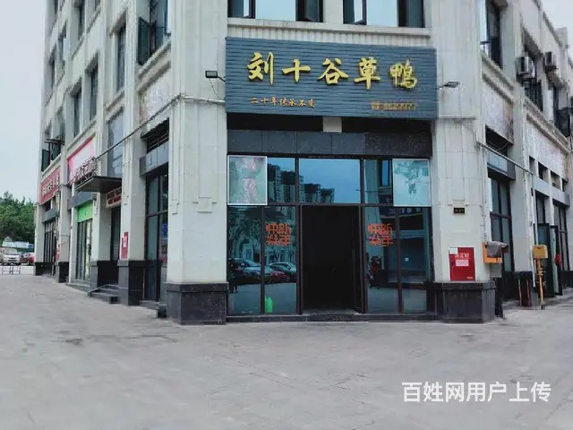 华商旁带租现铺，出租出售南湖领御瑞和，南湖郡望江名城都市风景 - 图片 9