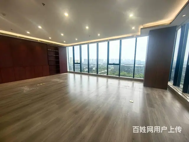 新城绿地商务蓝海650平高层南向纯办公欢迎看房 - 图片 8