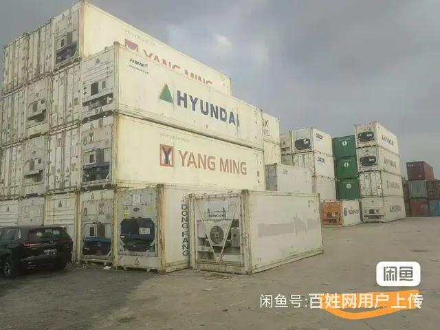 二手集装箱二手冷藏集装箱租售 - 图片 9