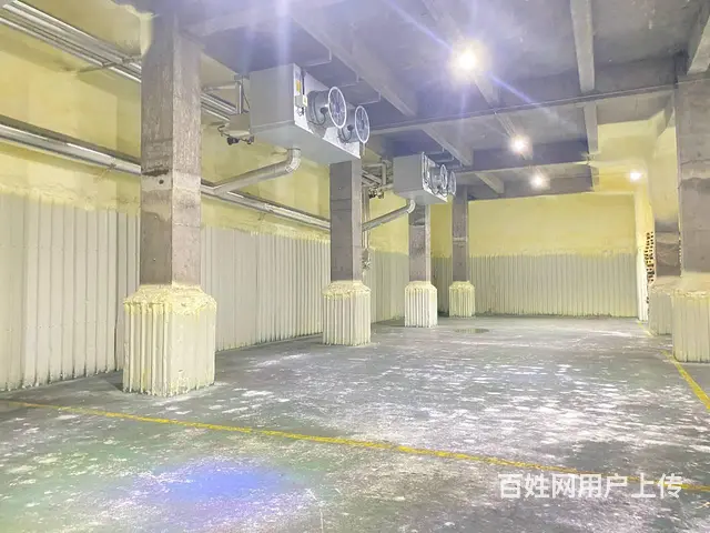 （房东直租）黄兴镇秋江线旁海吉星附近整栋仓库，厂房出租 - 图片 5