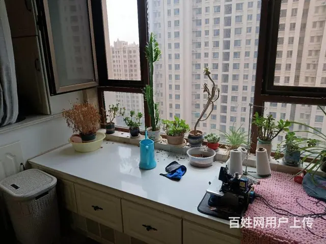 世纪城 双证17楼 带空调  59万 - 图片 3