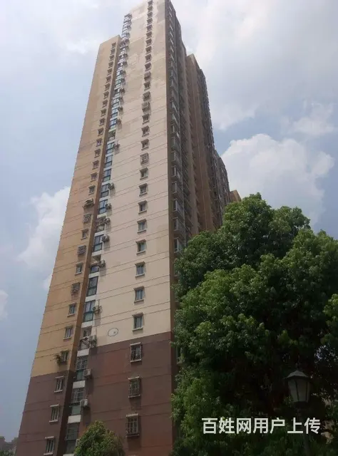 汉街 中南医院4号线青鱼嘴中北路德成中心湖北省博物 - 图片 11