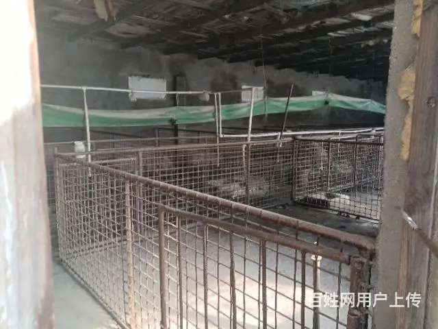 养殖场出租 - 图片 5