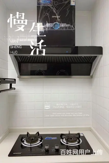 北峰万科城江滨丰屋电梯高层 - 图片 2