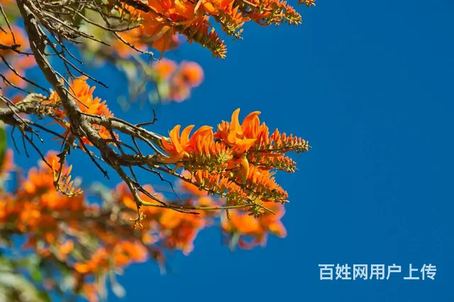 江浙沪地区俄语说明书翻译公司 - 图片