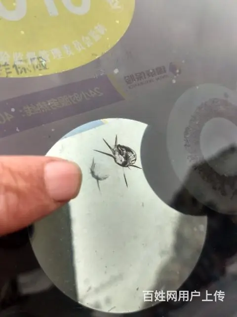 郫县那里有修补汽车挡风玻璃的，那家好价格地址 - 图片 5