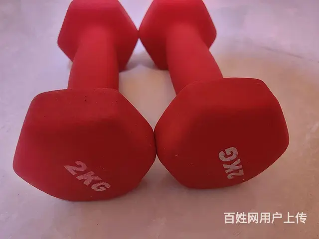18件（哑铃，瑜伽球，瑜伽垫，握力器，跳绳等） - 图片 3