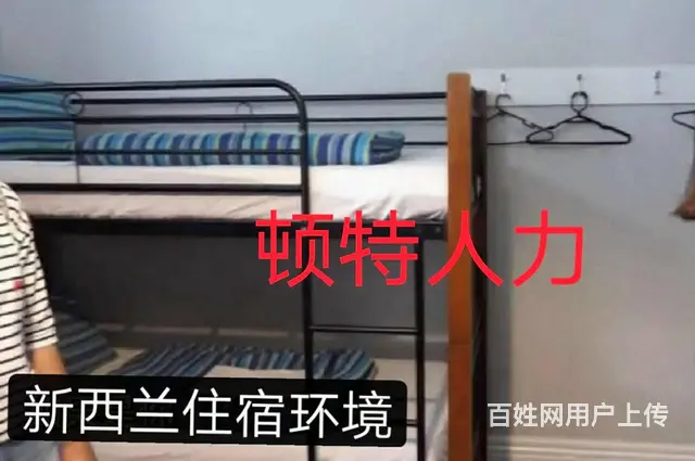 江苏2新西兰急招农场工证件、保险齐全，不成功0收费 - 图片 2