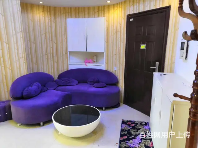 中山北路龙江明珠有房出租，普通住宅2厅 精装修 - 图片 3