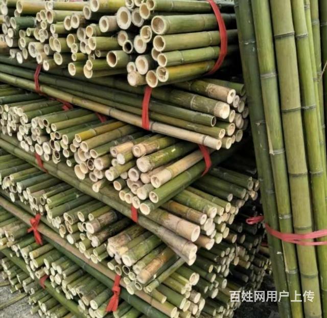 郑州杉木杆批发市场