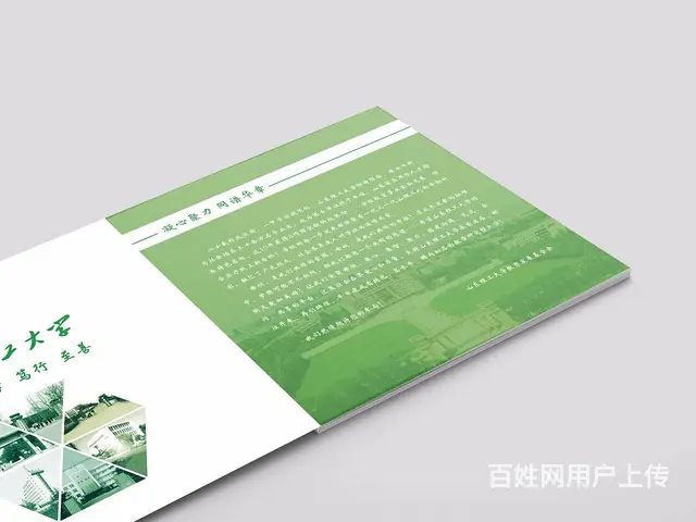 专业画册设计、单页设计、企业通讯录设计、折页设计 - 图片 6