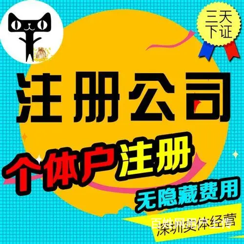 广州番禺大龙变更股权代办代办执照营业 - 图片 5