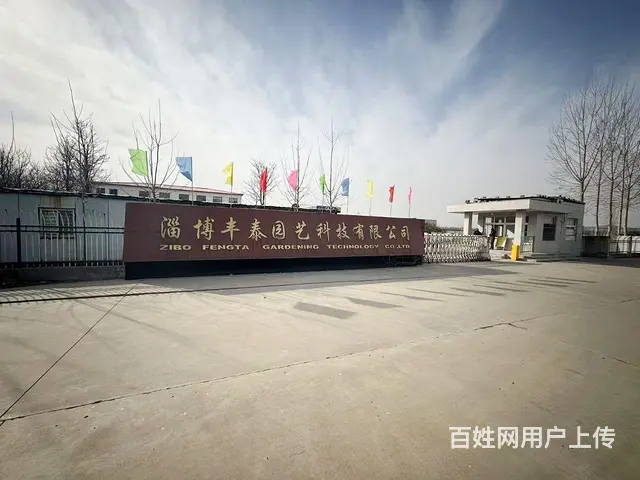 （微易转）临淄凤凰镇独立厂区厂房仓库办公楼出租 - 图片 1