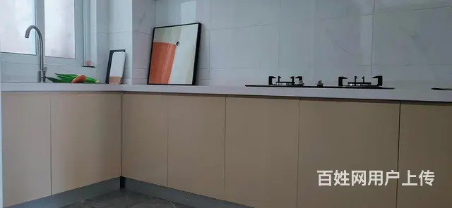 城南六字头轻轨瑶海大市场明湖奥体旁纯洋房实力翡翠雅筑看房随时 - 图片 8