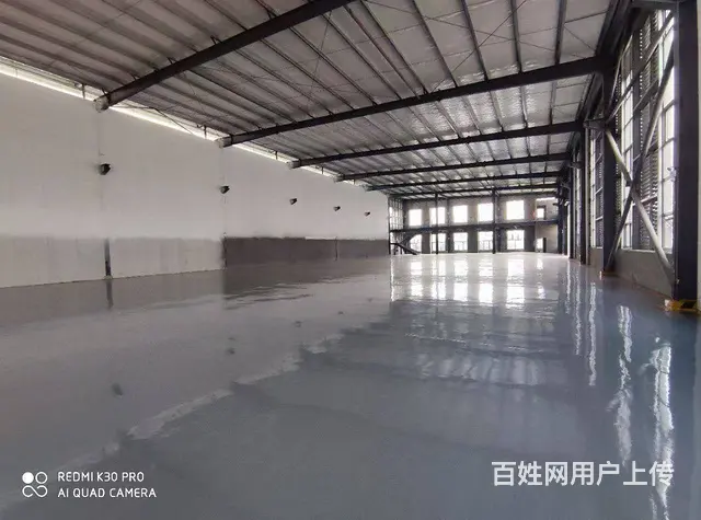非中介，免3年政策，成新蒲路边（厂房出租出售 - 图片 3