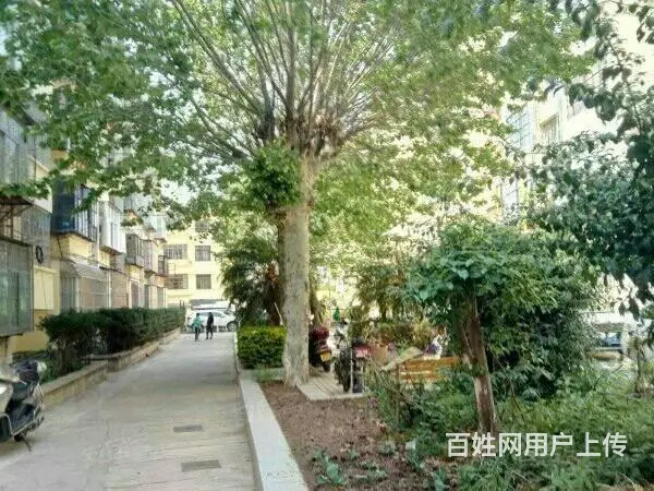 【搞定了！】捡漏房源，    有 - 图片 6