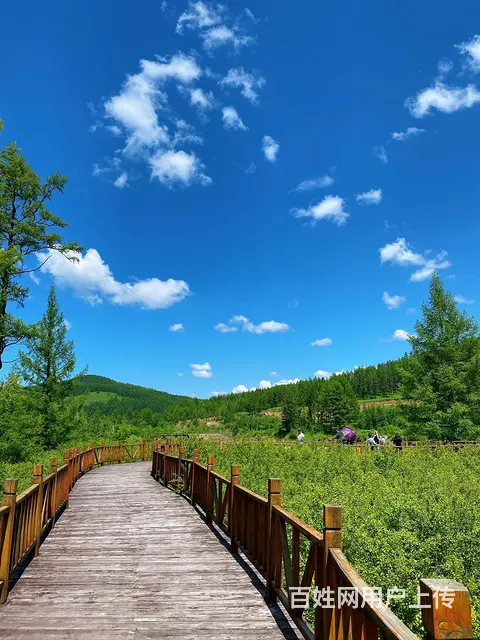 呼伦贝尔旅游包车推荐阿杰师傅 - 图片 3