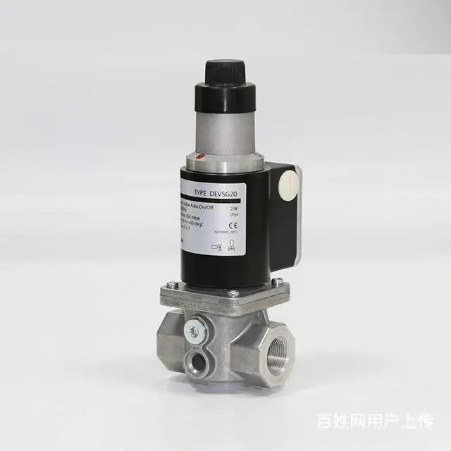 24V慢开电磁阀DEVSG20锅炉铝合金燃气电磁阀 - 图片 1
