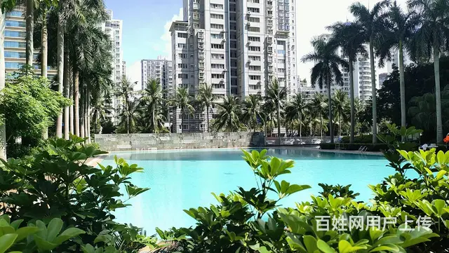 海口湾     紫荆花园3房出售 - 图片 11