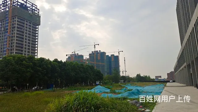 东城新区稀缺底商 - 图片 4