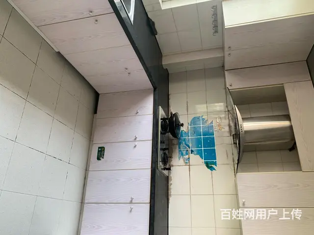 房屋出租 - 图片 8