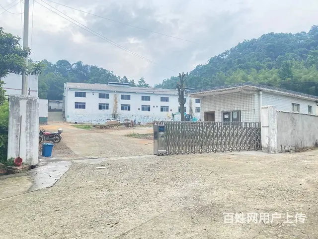 (房东直租)白若铺319国道旁4200平园区厂房出租，可分租 - 图片 3