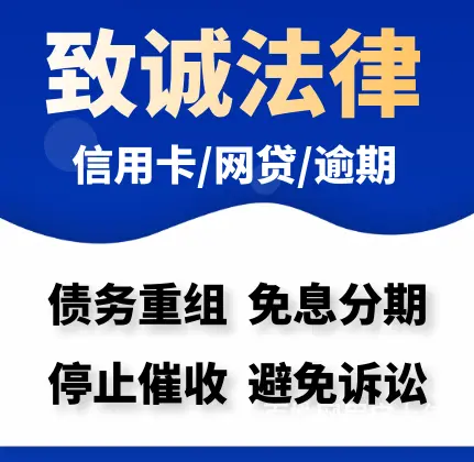 莱芜*花呗*债务重组 - 图片 3