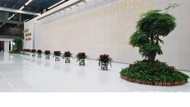 广州办公室绿植租凭，园林绿化外包，绿植出售 - 图片 2