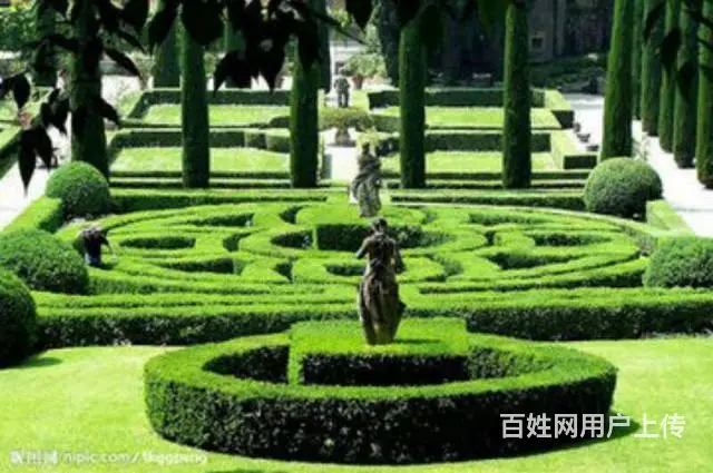 楼王位置标准户型首付一万首付可分期交一万立减三万 - 图片 8